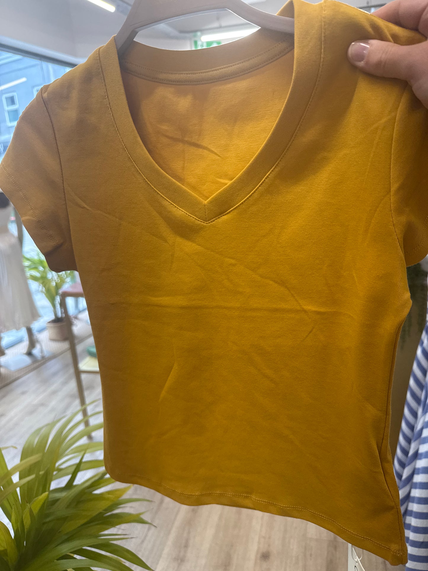 Cotton T-Shirt